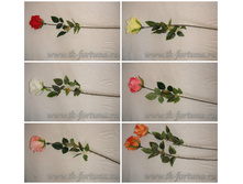 18-183� ���� "�����������" ����� 75 ��., �������, �����, ������ 74.20