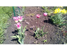 Ff1751db12c9756d97301fe0bc1d3b5195788b48f5d2c8f4cc7b6983c0edf7c3 — �����.jpg