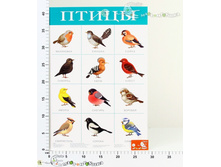 ���2088 ������ ����� 2088 25,67.jpg