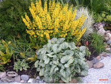 ��������� �������� 90���.jpg ����� 3�� �� ���� 2-�