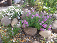 ����� ���������� (�ϣ ����)