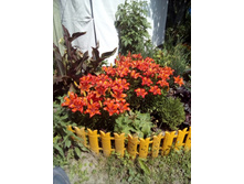 IMG 20160619 102735[1].jpg