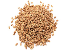 ����� ���, �����, 500 �� ������