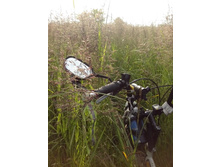 IMG 20160616 174100.jpg