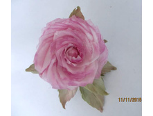 FB IMG 1465382786360[1].jpg