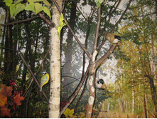 IMG 2870.JPG