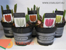 ������� (20) 295.00