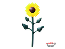 ��������� ����, ������������ � ��� ���������� ��������� 1 ��. 20 ���. 14 �� 29��, �������. �� ����� ��������� ����� ����� ��� ������� �� ���������� ���� �� �����..jpg