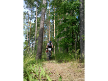 ��������  (67).JPG