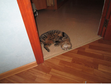 �������� Autodesk Inventor 025.jpg