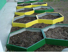 �������������� ����