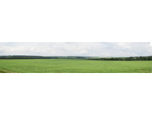  DSC4121-Pano.jpg