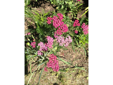 ������������� 50�