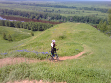 IMG 20160618 120245.jpg