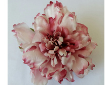 2016-04-28 11.20.48[1].jpg