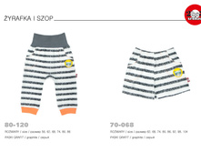 01-06-2016 11-55-41 page 39.jpg