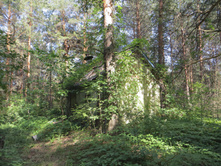 IMG 3863.JPG
