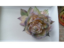 20151001 105751[2].jpg