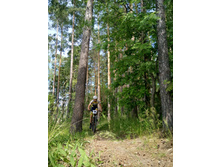 ��������  (63).JPG