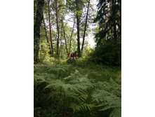 ��������  (73).JPG