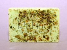 �������� ���� ��������.