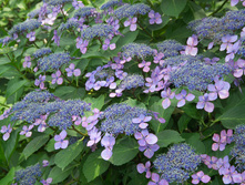 ��������� ��������� ��� ����.