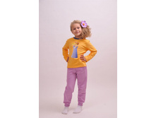 Phoca thumb l 12 1-784 1-804.jpg