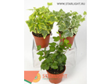 ������ (10) 89.00