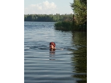 IMG 20160604 163609.jpg