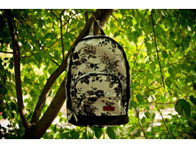 ������ "������� - 11"