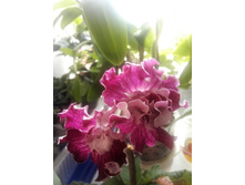 IMG 20160507 092815.jpg