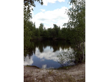 IMG 20160605 133431.jpg