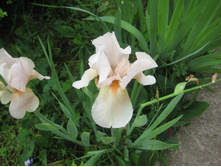 ������-�������, 100 �