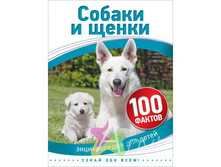 IMG 7fb3479ab85b.jpg