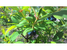 ��������� �� ������.