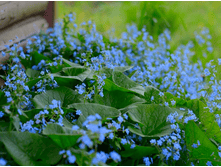 �������� ������������� 60