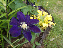 �������� �����.JPG