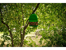 ������ ��������