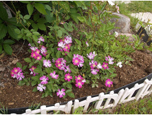 ������� ������ �������