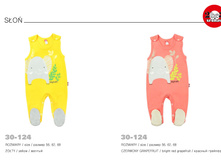 01-06-2016 11-55-41 page 30.jpg