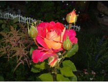 ����� �������