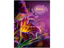 ������� 1-4 ��. 48�. (�������) Royal Lily , ������� ���������, �̣���� 46,53.jpg