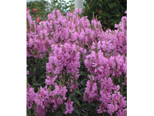 ���������� ���������� 90