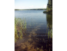 IMG 20160604 162732.jpg