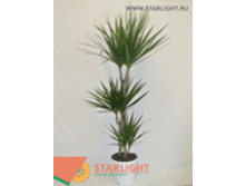 ������� ��������� �3 (150) 1 995.00