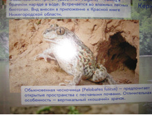 IMG 2867.JPG