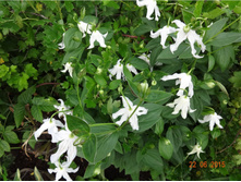 �������� ������������� ������