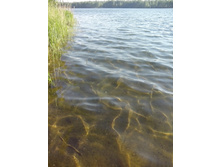 IMG 20160604 162123.jpg