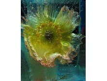 1335687815-990199-82291345 large 3166706 657999.jpg