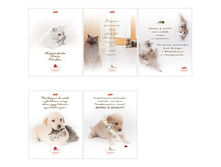 ������� 80�. �5 ������ ProLubov, ���������� ��-��� 27,57.jpg